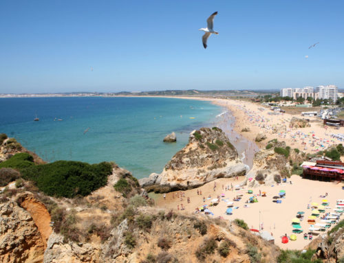 Algarve presentation